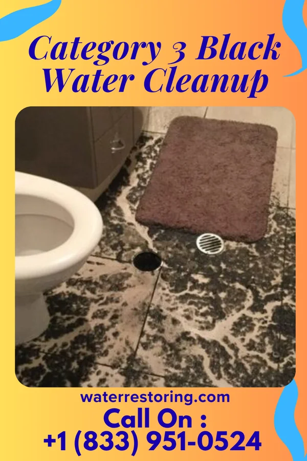 Category 3 Black Water Cleanup in Combes, TX