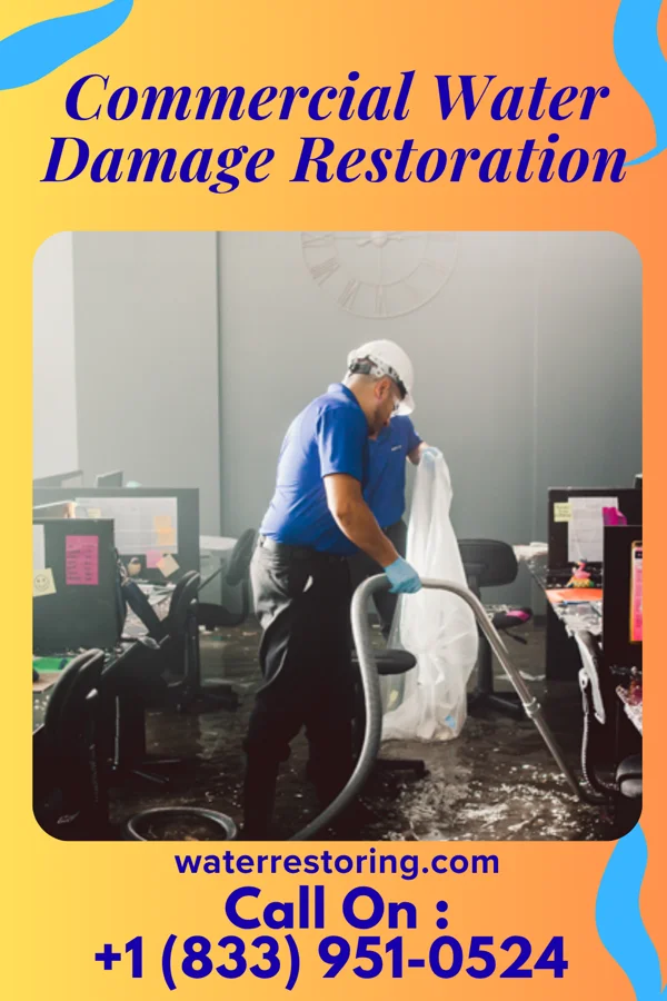 Commercial Water Damage Restoration in Combes, TX